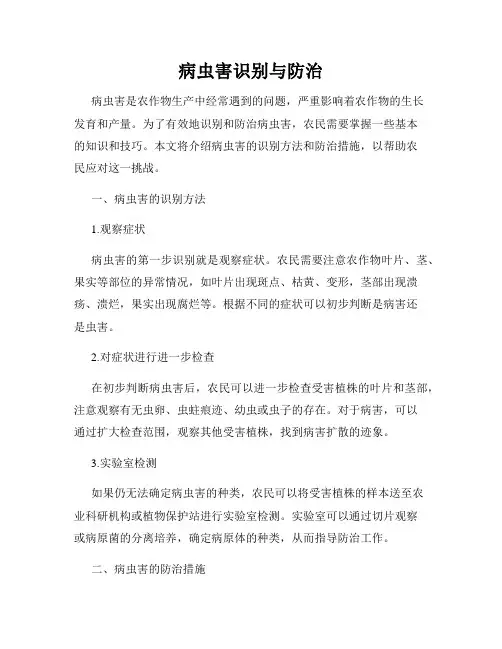 病虫害识别与防治