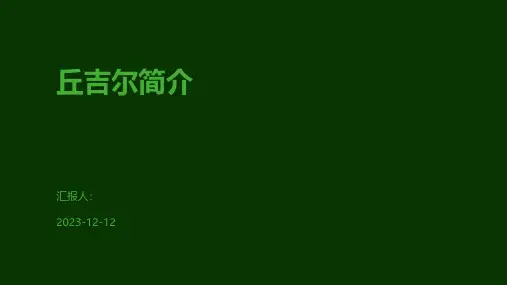 丘吉尔简介