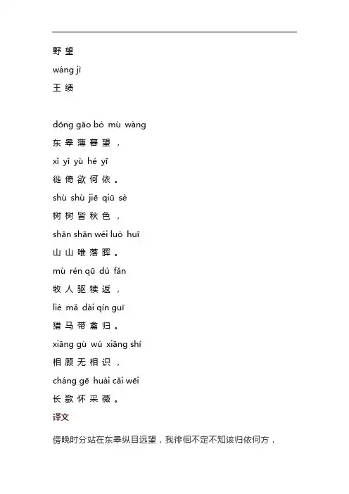 野望拼音版
