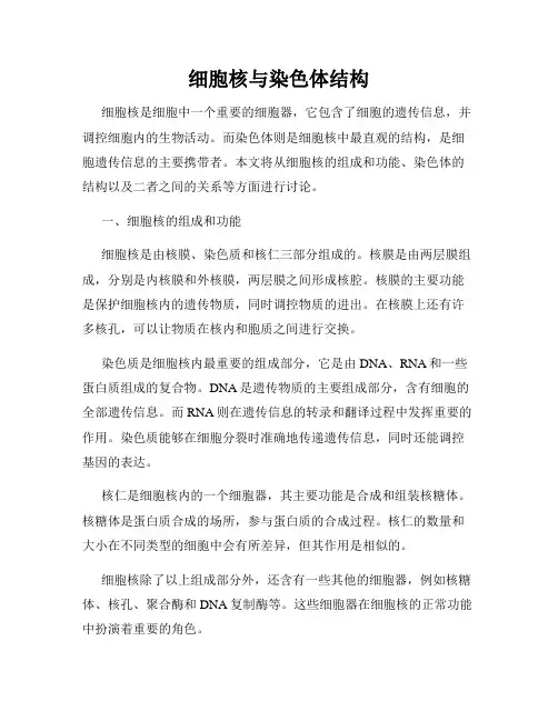 细胞核与染色体结构