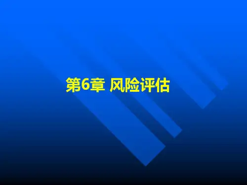 第6章 风险评估 《审计》PPT课件