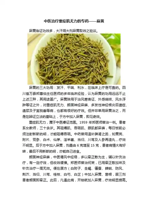 中医治疗重症肌无力的专药——麻黄