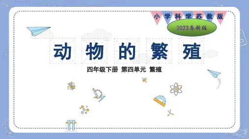 苏教版小学科学2023年版四年级下册第四单元繁殖第14课动物的繁殖教学课件