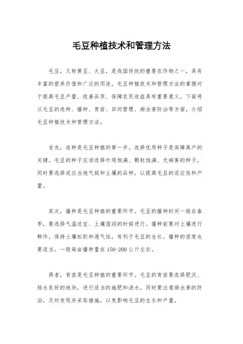 毛豆种植技术和管理方法