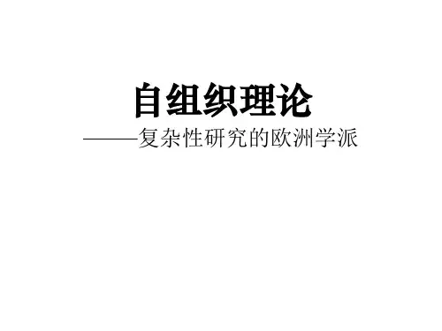 自组织理论简介