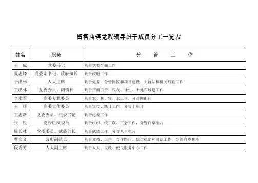 班子分工