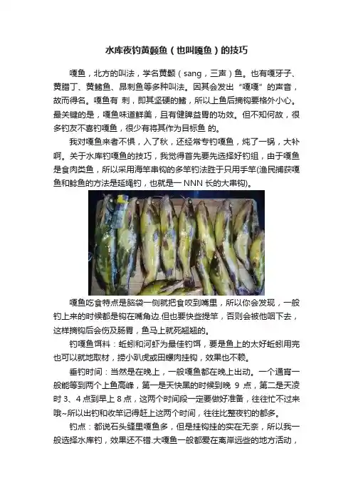 水库夜钓黄颡鱼（也叫嘎鱼）的技巧