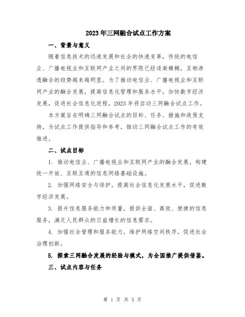 2023年三网融合试点工作方案