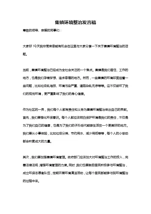 集镇环境整治发言稿