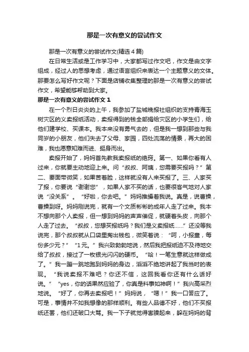 那是一次有意义的尝试作文