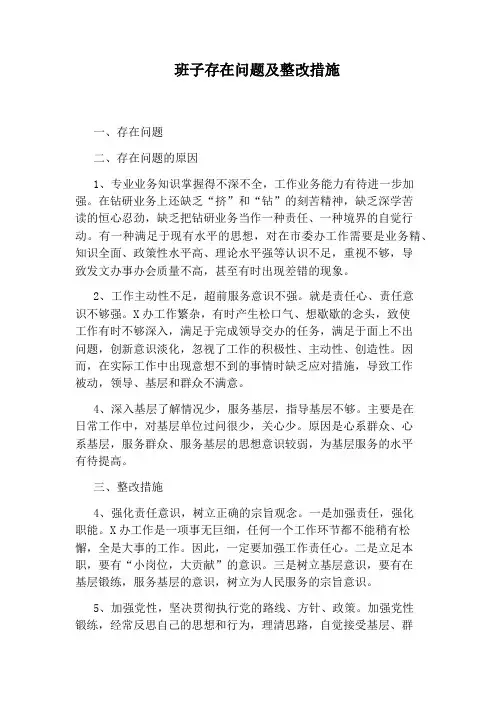 班子存在问题及整改措施