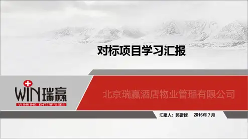 对标学习汇报(1)ppt课件
