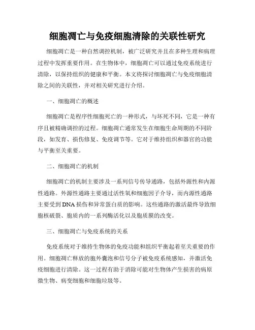 细胞凋亡与免疫细胞清除的关联性研究