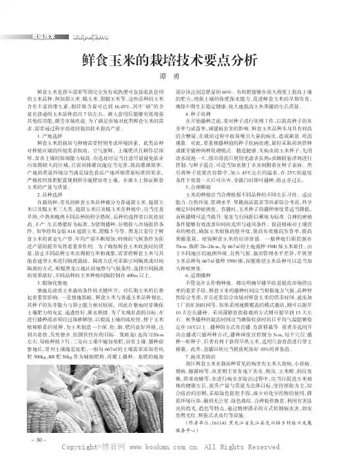鲜食玉米的栽培技术要点分析