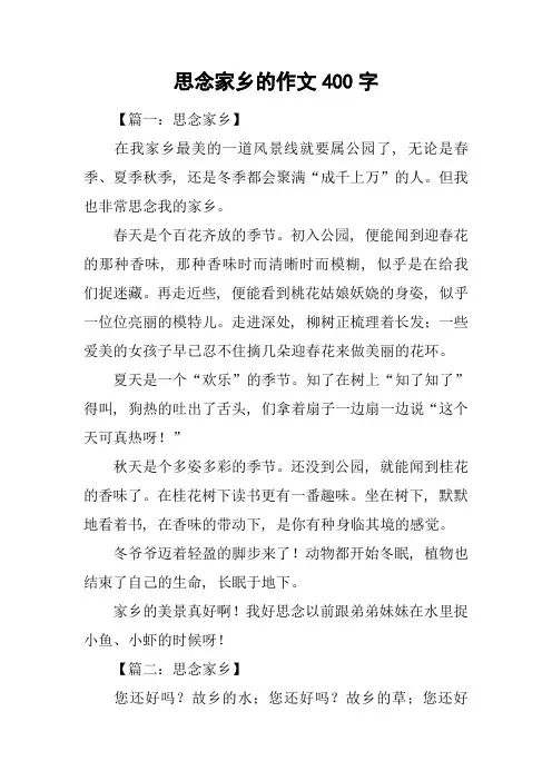 思念家乡的作文400字