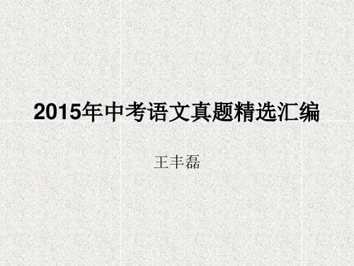 2015年中考语文真题名著