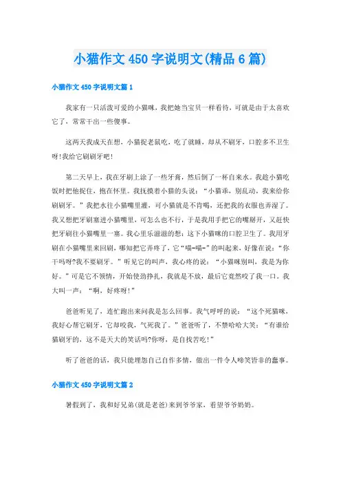 小猫作文450字说明文(精品6篇)