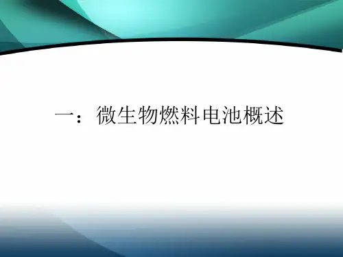 微生物燃料电池