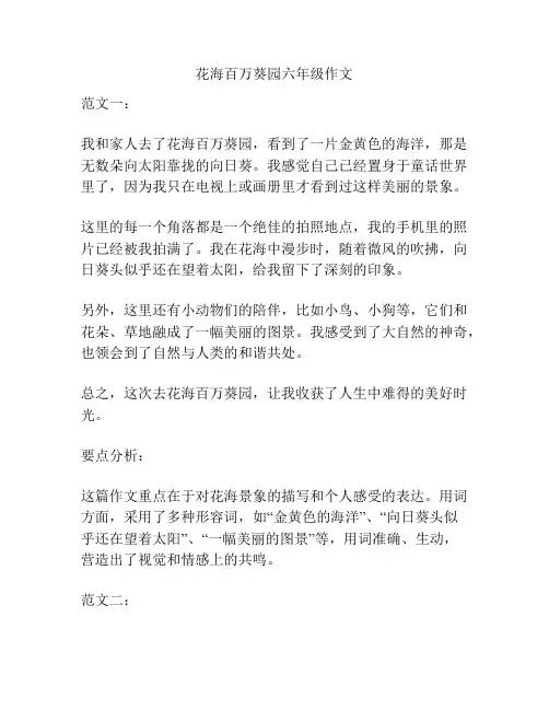 花海百万葵园六年级作文