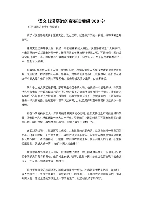 语文书汉堡港的变奏读后感800字