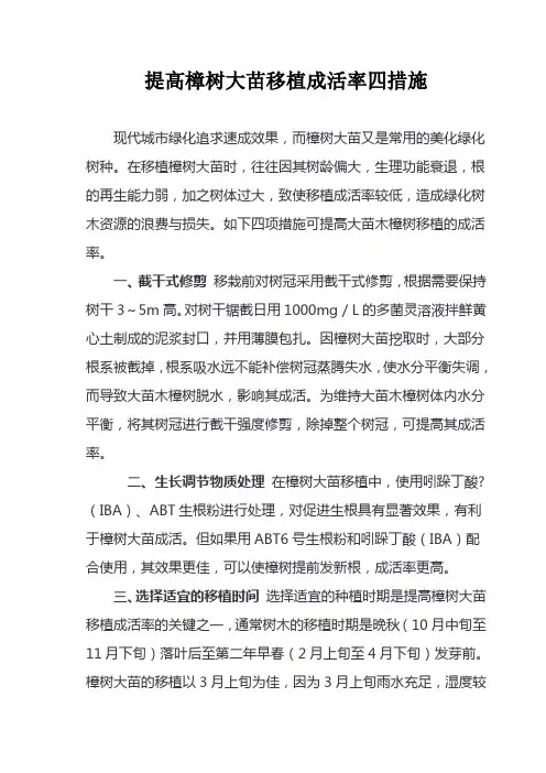 提高樟树大苗移植成活率四措施