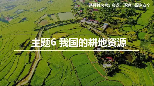 主题6 我国的耕地资源(课件)高二地理(中图中华地图版2022选择性必修3)