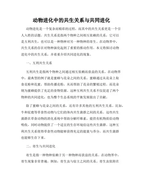 动物进化中的共生关系与共同进化