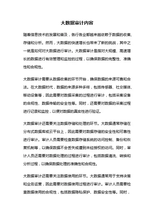 大数据审计内容