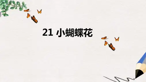 三年级语文下册《小蝴蝶花》说课课件 北京版
