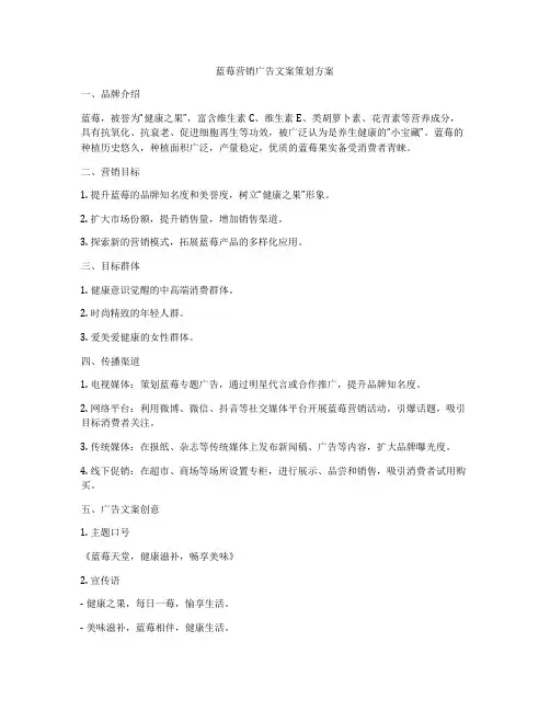 蓝莓营销广告文案策划方案