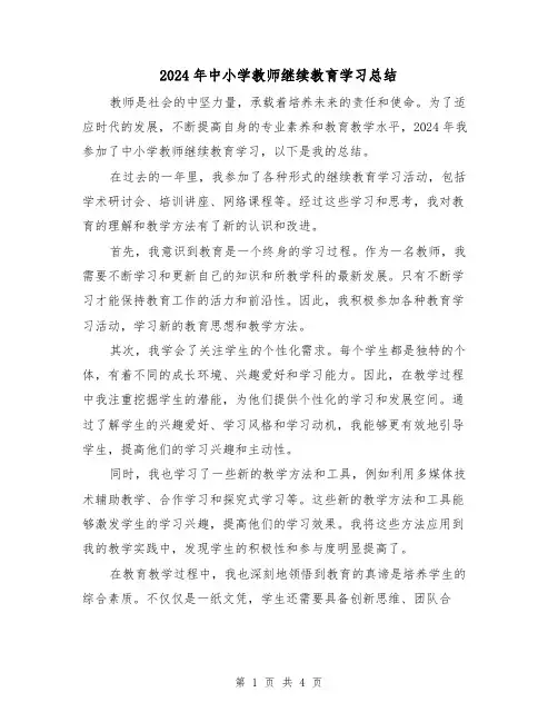 2024年中小学教师继续教育学习总结（2篇）