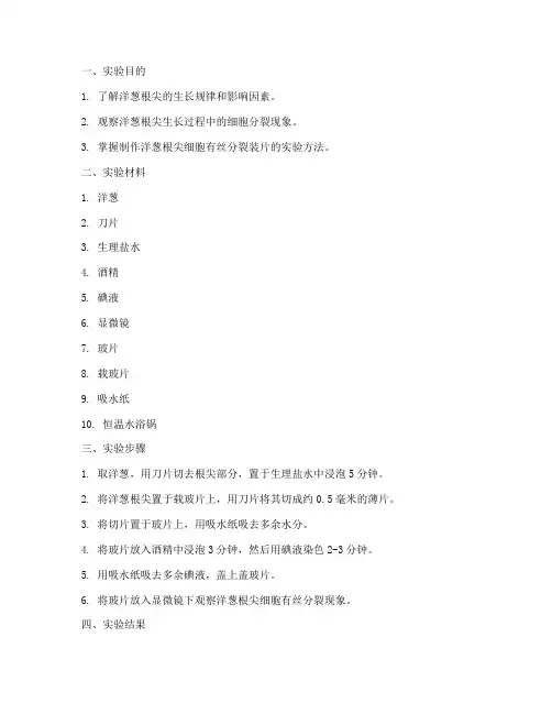 洋葱根尖生长实验报告