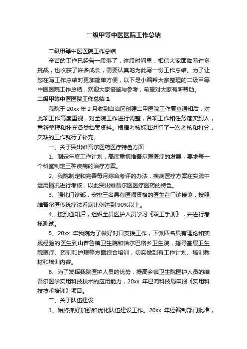 二级甲等中医医院工作总结