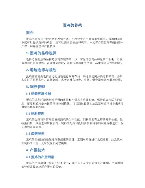 蛋鸡的养殖