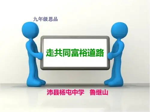 苏教版九年级全册第十课走共同富裕道路复习课件