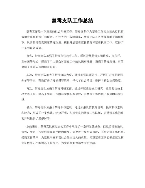 禁毒支队工作总结