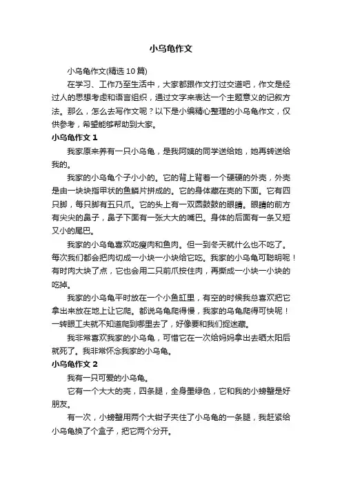 小乌龟作文（精选10篇）