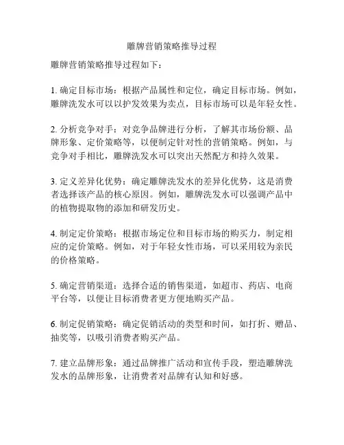 雕牌营销策略推导过程