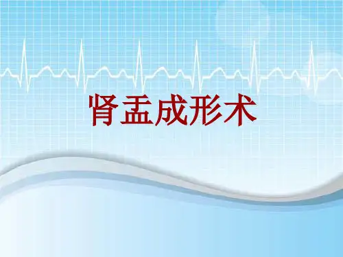 手术讲解模板：肾盂成形术