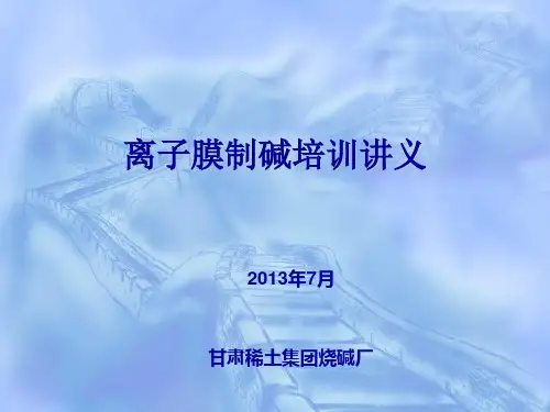 离子膜制碱培训讲
