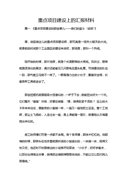 重点项目建设上的汇报材料
