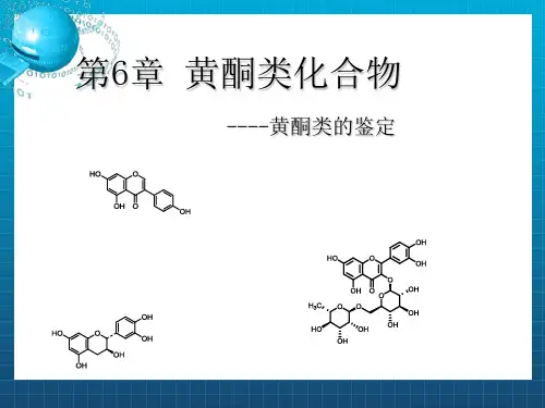 黄酮类化合物--鉴定