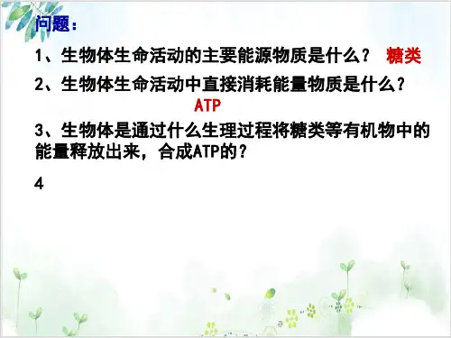 人教版高中生物必修一复习课件细胞呼吸PPT课件