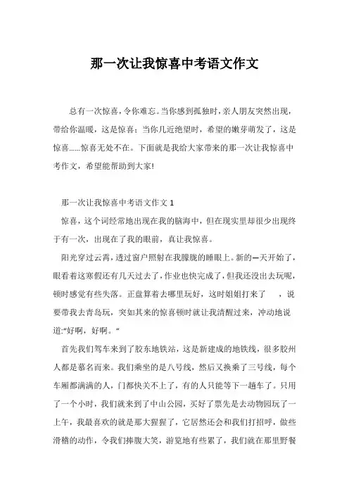 (中考作文)那一次让我惊喜中考语文作文
