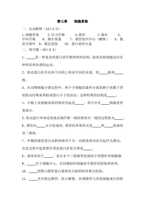 第七章    细胞骨架