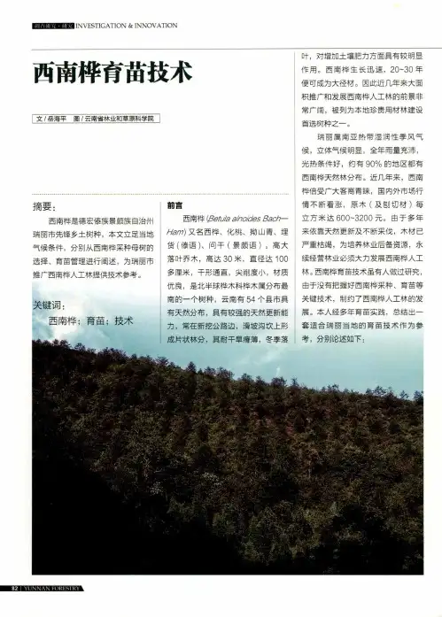 西南桦育苗技术