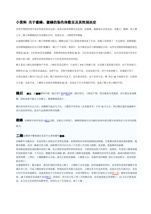 高中生物拓展小资料 关于蜜蜂染色体数目及其性别决定