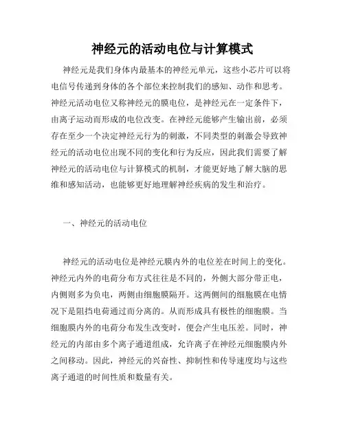神经元的活动电位与计算模式