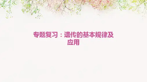 专题复习遗传的基本规律及应用