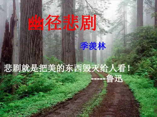 《幽径悲剧》课件.ppt